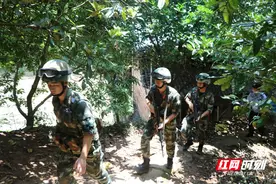 武警郴州支队官兵快速处置一起疯牛伤人事件图片