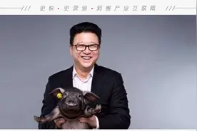 网易走出多位独角兽创始人，解读丁磊的千亿人生图片
