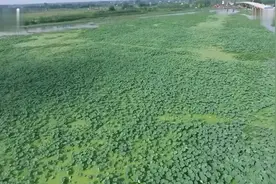 走进大通湖重拾红色记忆 仰望永远的丰碑图片