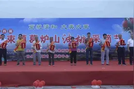 山东省邹城市大束镇第四届葛炉山油桃采摘节盛大开幕图片