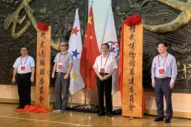 由霍元甲等创立，百年精武准备申报世界非遗图片