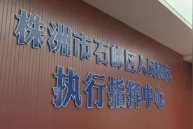 「平安石峰」无力还债，光伏电站被拍卖图片