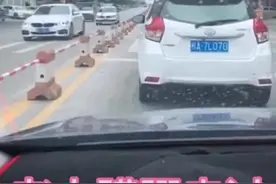 钦州一老人蹒跚过斑马线，发生温暖一幕图片