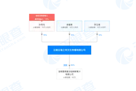 起底中国云铜｜天价商标如何自卖自买？三家企业间互为关联图片