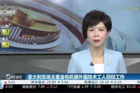意大利农场主重金包机接外国技术工人回田工作视频封面
