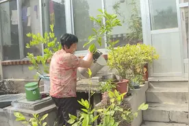 38秒丨济南市平阴县孔村镇：贫困村争创出彩人家 共建美丽乡村图片