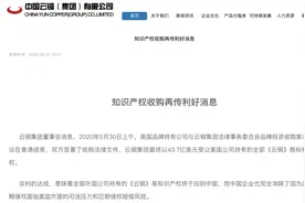 起底中国云铜｜天价买商标前聘“中央国学院院长”负责法务图片
