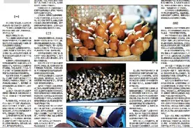 “锦绣·非遗”贫困县再发现丨云南梁河县：葫芦丝，温婉傣族人的情感介质图片