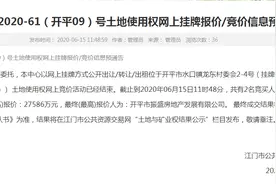 开平龙东片区64亩地块摘牌图片