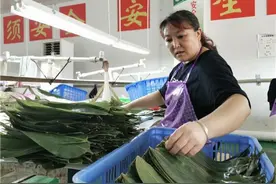 铜仁德江：野生粽叶出国记图片