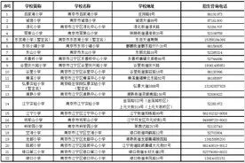 最新！南京江宁区发布“公民同招”实施办法，摇不中的由施教区学校正常招收入学图片