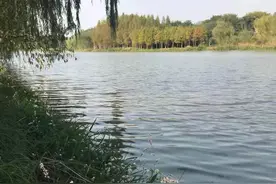运河水质特殊如何作钓？适当调整鲫鱼来报道图片
