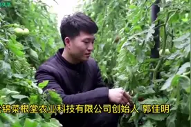 90后小伙的“柿业”情缘图片