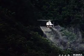 威海直升机播洒除虫剂图片