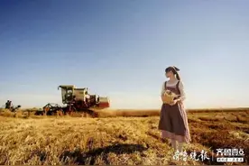 拾麦穗的女孩图片