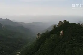 河北青龙：植物活化石天女木兰竞相开放视频封面
