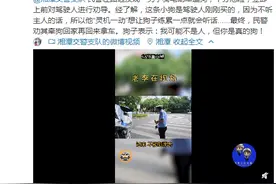 湘潭男子骑电动车遛狗让其练累 狗子：我可能不是人…图片