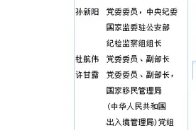 公安部副部长孟庆丰卸任图片