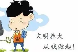 狗没戴犬牌，当心被捕捉，海曙这里开始整治！图片