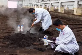 微视频：这里的秸秆成了“宝”视频封面