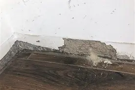 逢大雨墙面渗水 精装房地板发霉！南宁一小区近百户业主入住没多久遇上闹心事图片