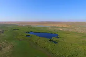 腾格里沙漠有个奇怪的湖，会发出牛叫声图片