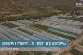 精准帮扶 217座钢架大棚“撑起”甘谷县蔬菜产业视频封面