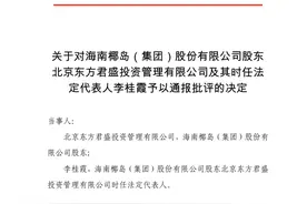 大股东遭上交所通报批评，海南椰岛重组事项或将生变？图片