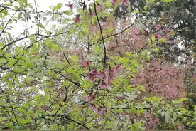 锡都十条经典徒步线路，走起！图片