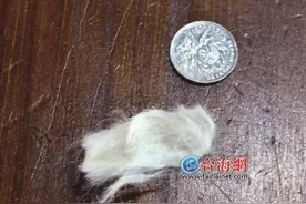 猫后背、嘴里被涂502胶水！厦门集美惊现虐猫男孩「组图」图片
