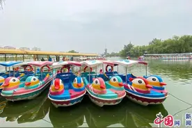 北京朝阳公园成划船好去处 夏天泛舟享清凉图片