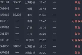 北京前往各地航班大面积取消，未来进出港航班将受更大影响图片