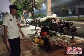 瓜农来郑州卖瓜遇上连阴雨 被困桥下一天只吃一顿饭图片