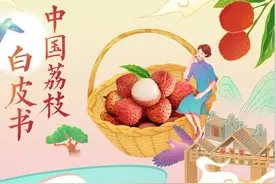 《中国荔枝白皮书》发布，北上广深消费者对荔枝“最深情”图片
