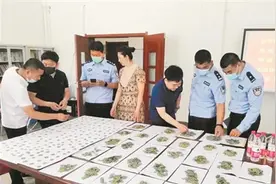 3347枚古钱币全部移交四平市博物馆收藏图片