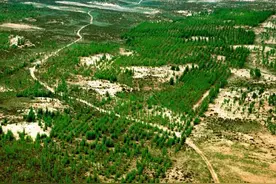 防沙治沙任务完成如何？四大沙地生态改善怎样？国家林草局披露新数据图片