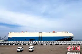 数千辆平行进口汽车“亮相”天津港保税区图片