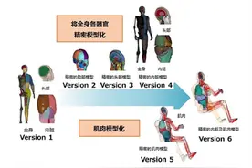 丰田无偿公开车辆碰撞人体虚拟模型 为提升全球汽车安全性做贡献图片