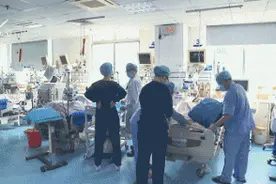 这种虫叮咬可致命，厦门已有人中招图片