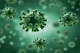 发病率高，巨细胞病毒危害新生儿健康图片