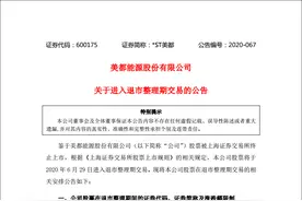 悲剧，13万股东被“坑”了！这家公司被终止上市，停牌前连续14个一字跌停，不到半年暴跌近80%……图片