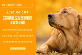 福利 | 宠物病毒这些基本常识你需要知道图片