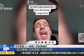中文歌曲《一剪梅》在欧美爆红：“雪花飘飘 北风萧萧”成流行语视频封面