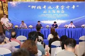 未来柳北如何发展？片区市民生活将有哪些提升？这场发布会给你答案图片