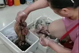 合肥一住户不在家冰箱断电十二天 数千元食物腐坏该谁来买单？图片