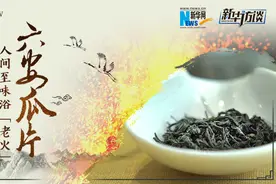 六安瓜片：人间至味浴“老火”视频封面