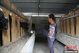 无臂“羊倌”但汉超：自强不息脱贫致富图片