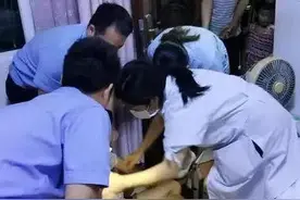 小镇警事丨千里外网友报警 民警出击拯救仁寿患病自杀女孩图片