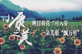小康之美丨映日荷花“可入宴” 一朵芙蕖“飘万里”视频封面