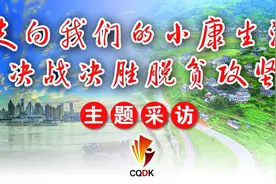 走向我们的小康生活(40) | 日行两万步的谭书记图片